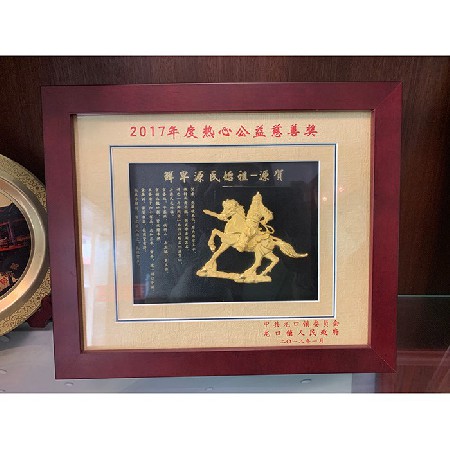 2017 Enthusiastic Charity Award